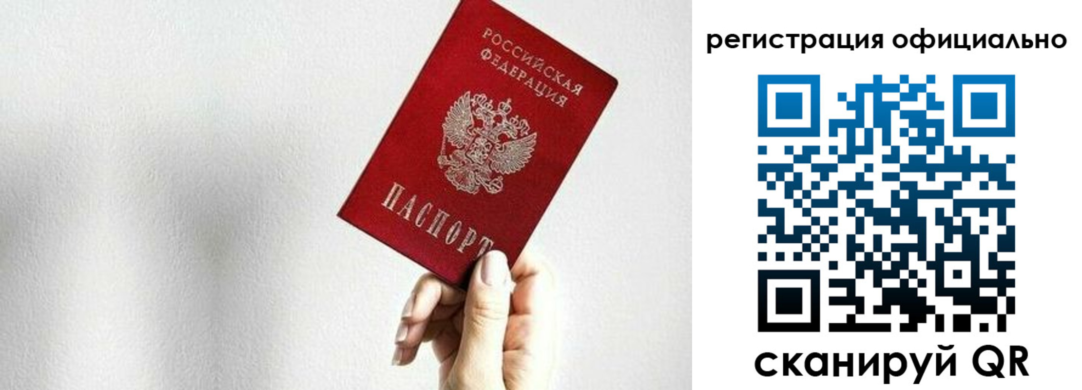 прописка поиск в Купино
